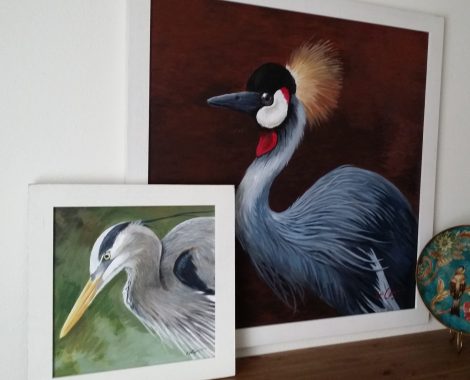 Birds