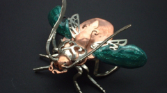 SilverBeetle